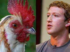 Những bí mật khiến người đời “ngả mũ” của CEO