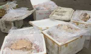 Bắt quả tang 300kg thịt thối suýt vào bụng khách