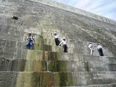 Nứt đập thủy điện: