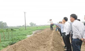 Không có mộ nào bị lấp, vẫn xử lý chủ đầu tư