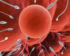 Những báo động “đỏ” cảnh báo nam giới sẽ vô sinh