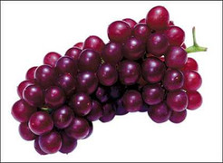 Thực phẩm màu tím giúp nhớ dai