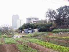 Chuyển đổi đất: Lợi dụng đầu cơ, kiếm lời?