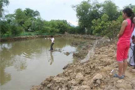 Rơi xuống ao nhà, bé ba tuổi tử vong