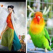 Tân Tiếu ngạo giang hồ: Nhân vật lòe loẹt như vẹt