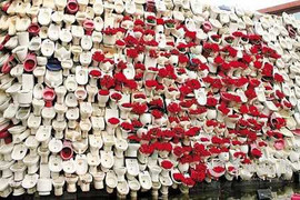 Thày giáo tỏ tình bằng 6.000 bông hồng cắm bồn cầu