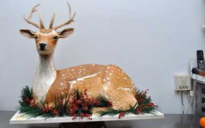 Nghệ thuật đỉnh cao của tiền tỷ