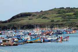 Sẵn sàng sơ tán gần 52 nghìn dân tránh bão lũ