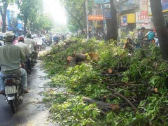 Đường phố Sài Gòn tan hoang sau cơn bão quét