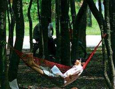 Phát hiện người đàn ông đã chết nằm trên võng