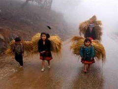 Không khí lạnh tăng cường gây mưa nhỏ ở Bắc Bộ