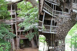 Chiêm ngưỡng biệt thự gỗ có một không hai