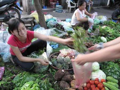 Người hành phố bày cách