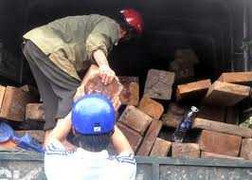 Khởi tố 3 cán bộ kiểm lâm vòi tiền chủ gỗ