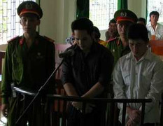 Giết người vì một...con chó