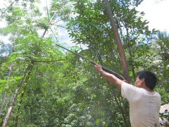 Nhầm tưởng thú rừng, nổ súng bắn chết người