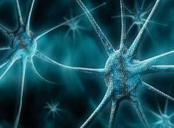 Apple gặp hạn với mã độc