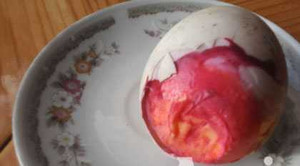 Phát hiện trứng vịt có lòng đỏ như máu