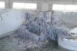 Cận cảnh nhà máy sản xuất vỏ nang thuốc gây ung thư