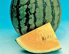 Dưa hấu không quá nguy hiểm cho bệnh nhân tiểu đường