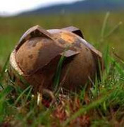 Vật lạ phát nổ, 2 học sinh trọng thương