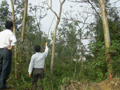 Vào rừng làm rẫy, phát hiện người treo cổ trên cây