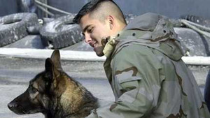 Chiến công huyền thoại của những ‘anh hùng 4 chân’