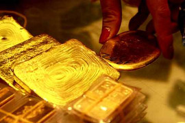 Cô giáo trẻ trộm tiền mua quà cho người yêu