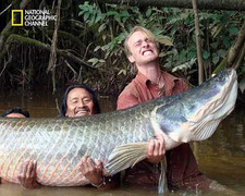 Ngỡ ngàng với loài cá khổng lồ - “quái vật” vùng Amazon