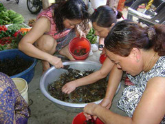 Nắng thiêu đốt, cua đồng tăng giá gấp đôi