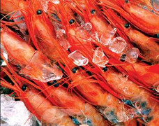 Nguyên tắc vàng bảo quản thực phẩm mùa nóng