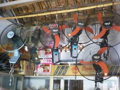 Chống nóng, đổ xô mua quạt trong nước giá rẻ