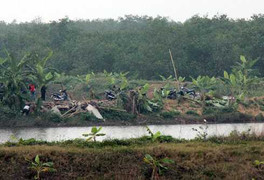 Ông Vươn tiếp tục được thuê đất để nuôi trồng thủy sản