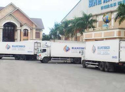 Công ty của 'nữ đại gia nợ tiền cá' hoạt động trở lại