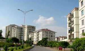 Nợ thuế của bất động sản tăng cao