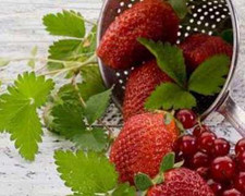 Các loại hoa quả giúp trí não sắc bén