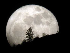 Ngắm siêu mặt trăng 'du lịch' quanh Trái Đất