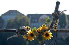 Chùm ảnh: Thi vị xe đạp và hoa hướng dương