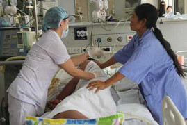 Ngộ độc thực phẩm, 7 trường hợp tử vong