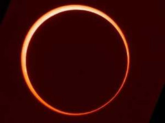 Chờ đón nhật thực hình khuyên sáng 21/5