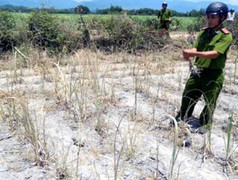 Quảng Ngãi: Chưa hết “bệnh lạ” lại lo khí lạ cực độc