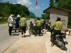 Vụ gỗ huê trăm tỷ: Tìm thấy súng và xác chết trong rừng