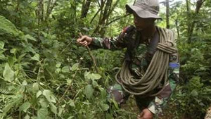 Tìm thấy 14 thi thể nạn nhân vụ rơi Sukhoi Superjet 100