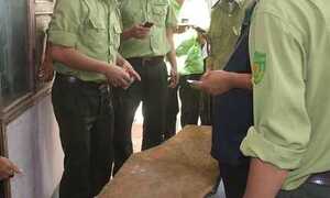 Vụ gỗ huê trăm tỷ: Thu giữ thêm hơn 300kg gỗ huê