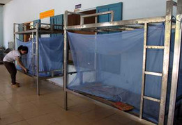 Sinh hoạt trong màn vì ruồi nhiều bất thường