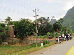 Xông vào nhà cướp gỗ huê giữa ban ngày