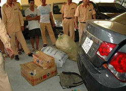 Bắt giữ hàng trăm con rùa, rắn...'tiến' vào Thủ đô