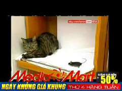 Tình bạn hiếm có