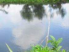 Quăng lưới kéo cá bị trượt chân chết đuối