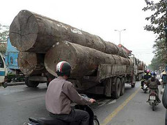 Hà Nội xử nghiêm 'thủ phạm' phá đường